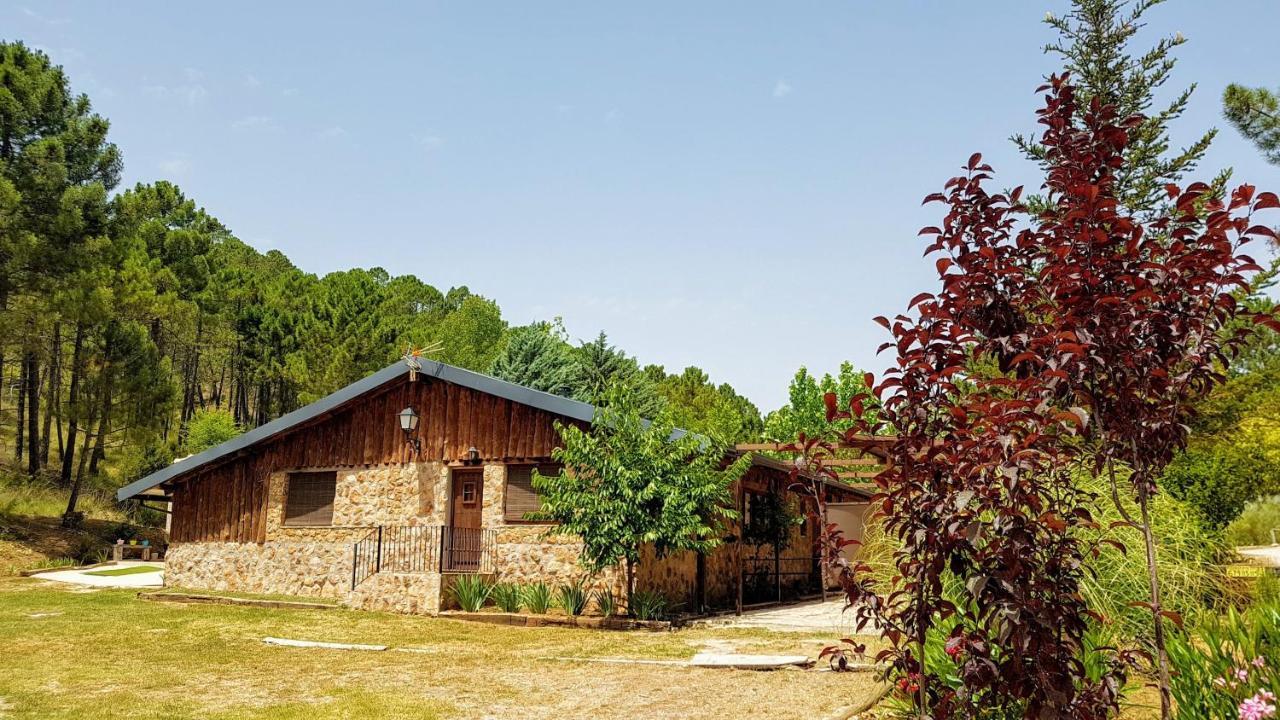 Chalet Esmeralda 3 D Y 2 Banos Zafiro Lagunazo Parque Natural Rio Mundo Riopar Bagian luar foto