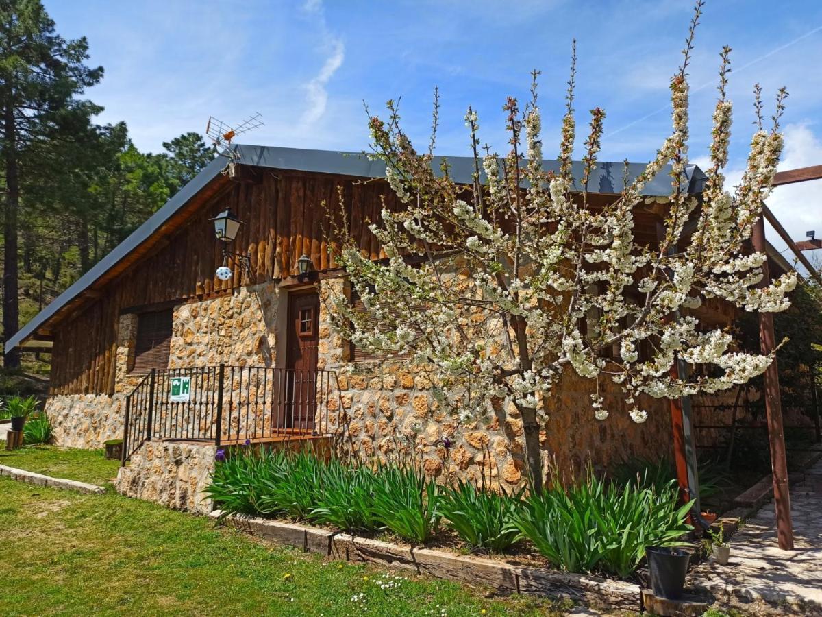 Chalet Esmeralda 3 D Y 2 Banos Zafiro Lagunazo Parque Natural Rio Mundo Riopar Bagian luar foto