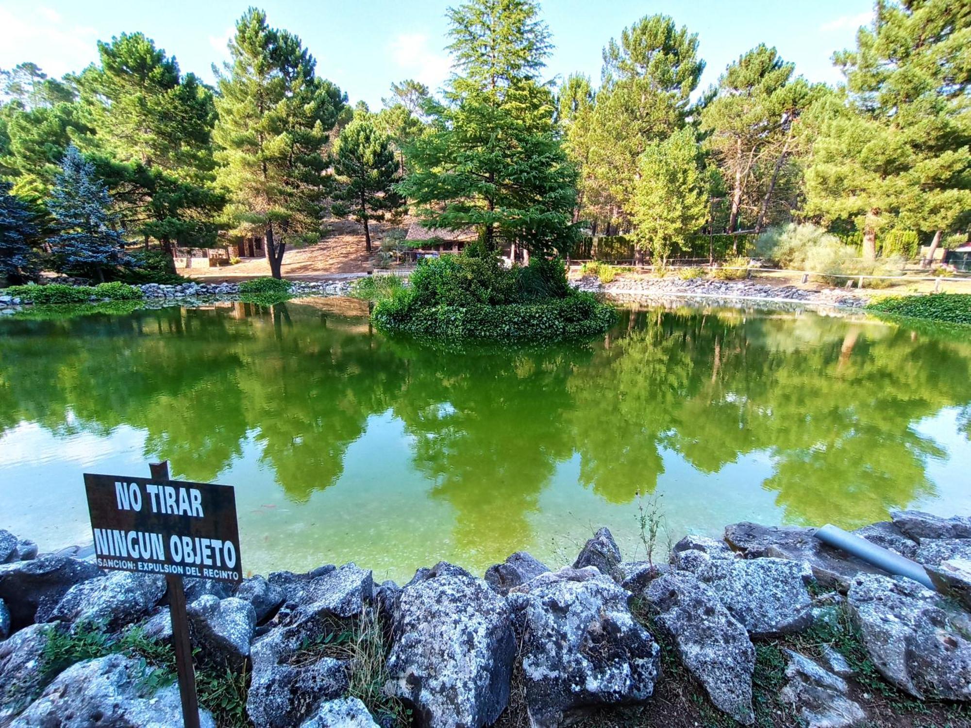 Chalet Esmeralda 3 D Y 2 Banos Zafiro Lagunazo Parque Natural Rio Mundo Riopar Bagian luar foto
